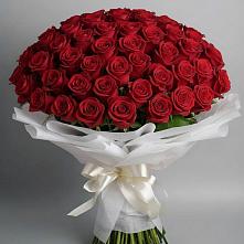 Букет 101 Красная роза Блэк Мэджик в Русском Камешкире