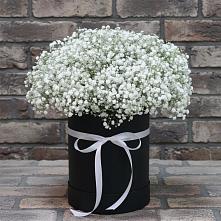 Цветочная композиция из Гипсофила в шляпной коробке #REPLACE_PRED# Русском Камешкире